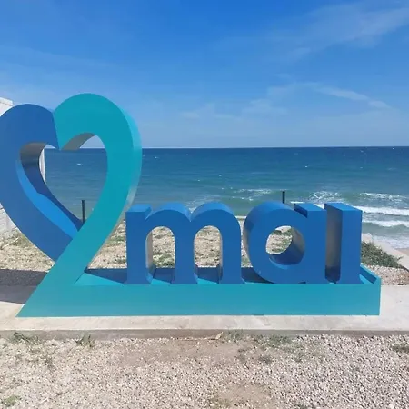 Case de vacanță Casa Ava *