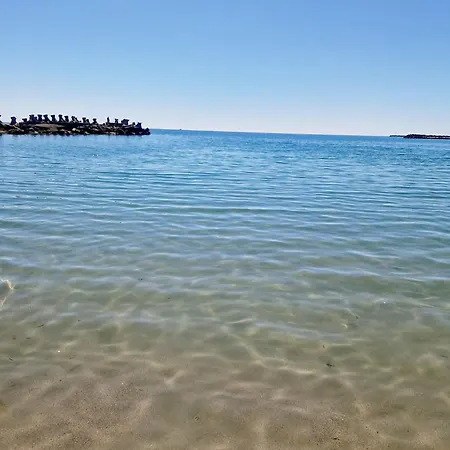 Case de vacanță Casa Ava *