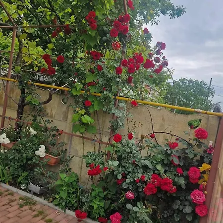 Casa de Férias Casa Ava