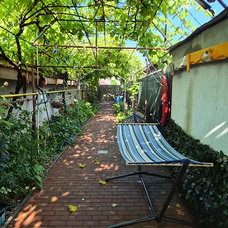 Casa Ava Vakantiehuis Două Mai